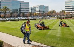 Professional landscaping crew performing commercial lawn maintenance, including precision mowing and leaf blowing, at a modern corporate office park.