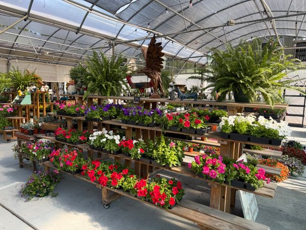 1st Impression Nursery