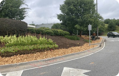 Curved garden bed with plants and rocks along a roadside sidewalk.