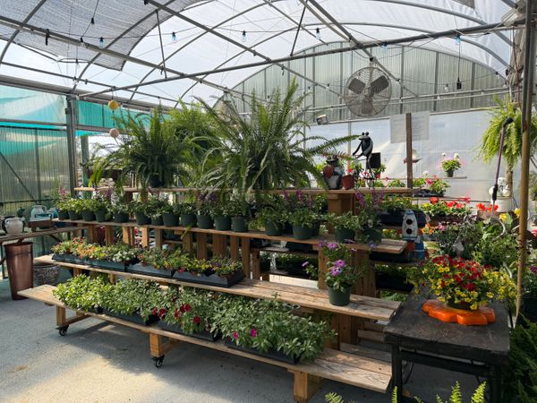 1st Impression Nursery