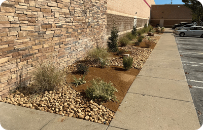 Newly landscaped garden bed with fresh mulch, small rocks, and young plants along a sidewalk