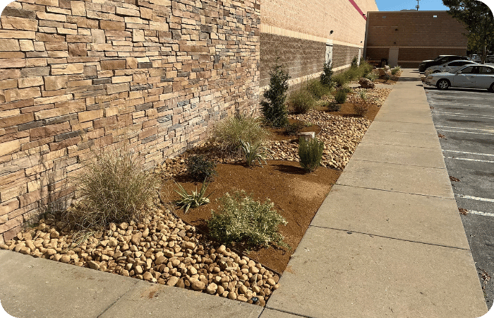 Newly landscaped garden bed with fresh mulch, small rocks, and young plants along a sidewalk