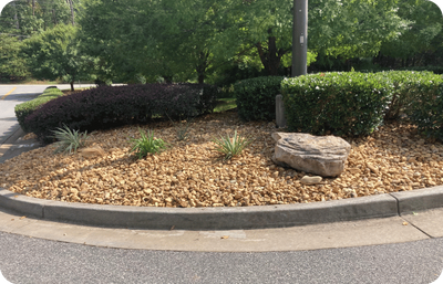 Aerial view of a parking lot with a landscaped island containing trees, shrubs, and turf.
