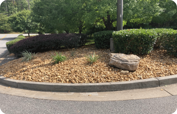 Aerial view of a parking lot with a landscaped island containing trees, shrubs, and turf.