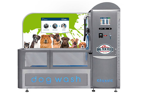 DIY Dog Wash: How Does It Work?