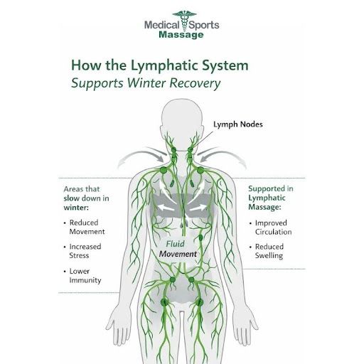 How the lymphatic system Support Winter  Recovery.jpg