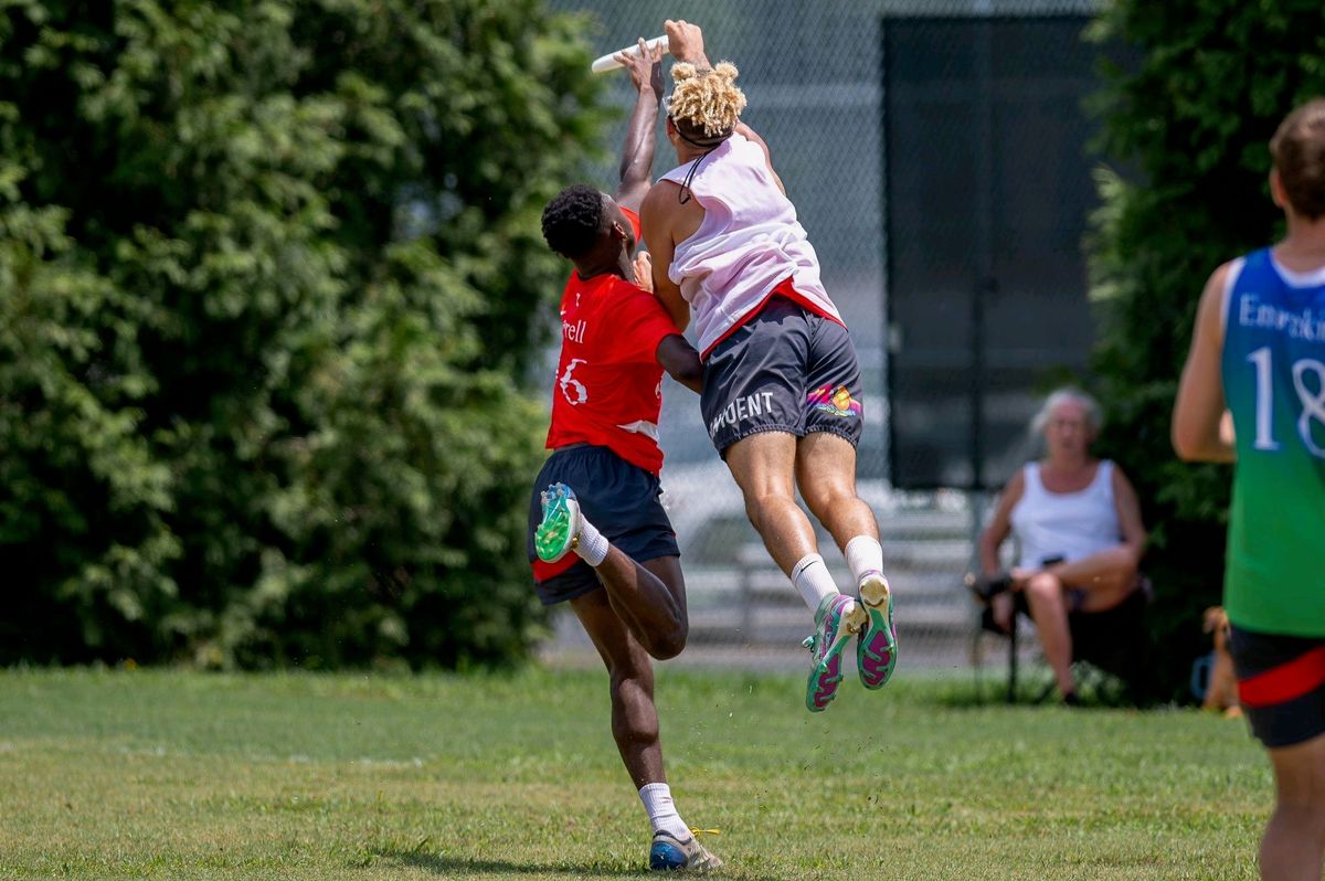 ultimate_frisbee_competition.jpeg