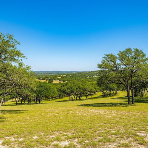 A beautiful, empty plot of land in the Texas Hill Country with rolling hills and oak trees.