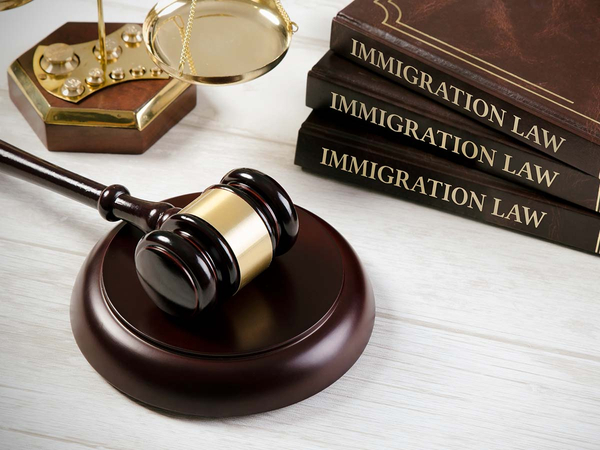 Immigration law book with a judges gavel