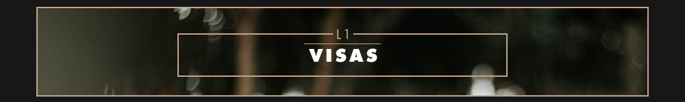L-1-Visas-5cc0d69102857.png