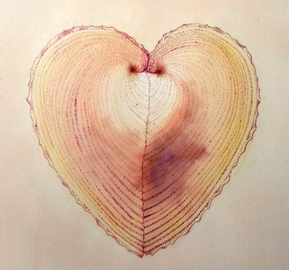 True Heart Cockle Shell Linda Z.jpg