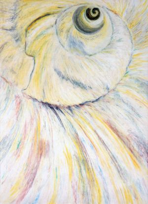 Yellow Moon Shell.jpg