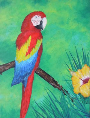 Parrot-Bay-1-min.jpg