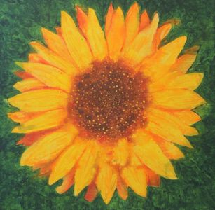 Sun-Flower-min.jpg