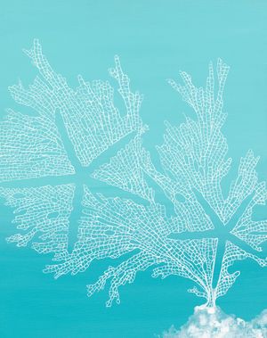 Sea Stars 1 sm Linda Z.jpg