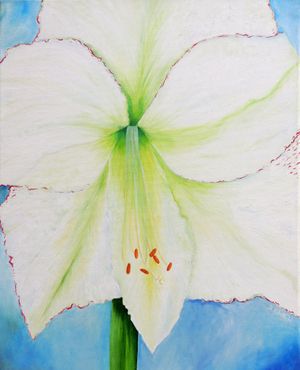 White-Amaryllis-min.jpg