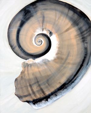 Sharkes Eye-min.jpg