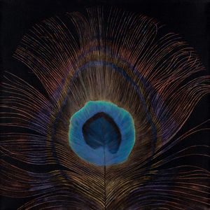 Proud Peacock sm Linda Z.jpg