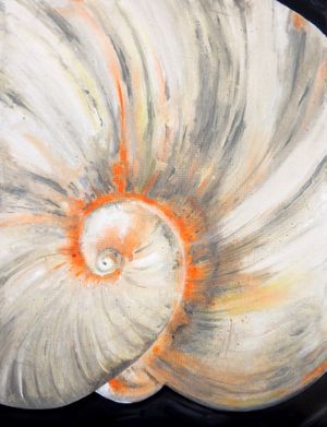 Orange Moon Shell-min.jpg