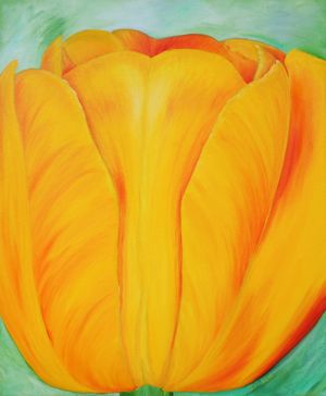 Yellow-Tulip-min.jpg