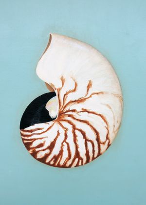 Nautilus-min.jpg