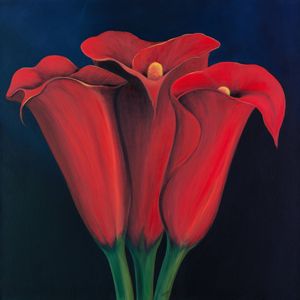 Matt_s Cala Liliys sm Linda Z.jpg