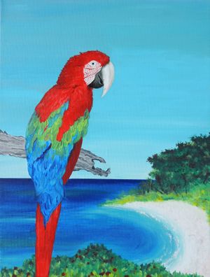Parrot-Bay-2-min.jpg