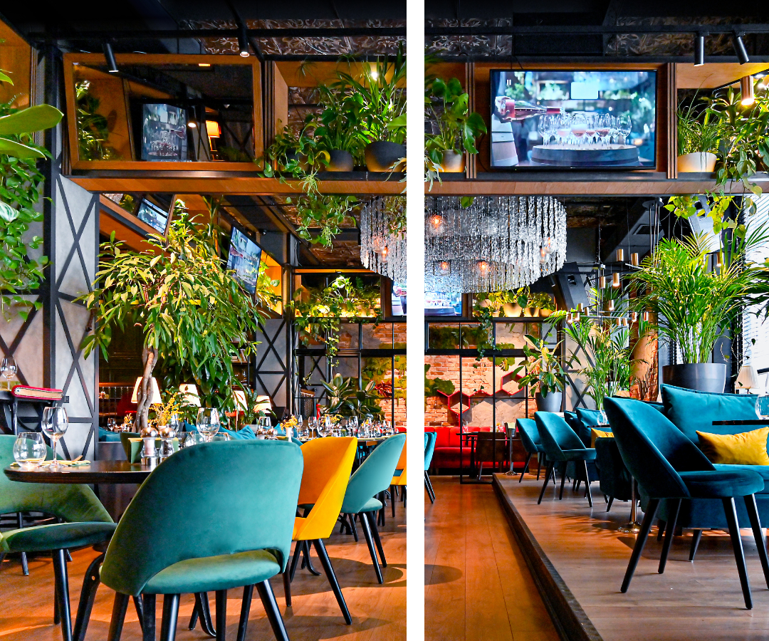 Sacramento -  Image 2.png