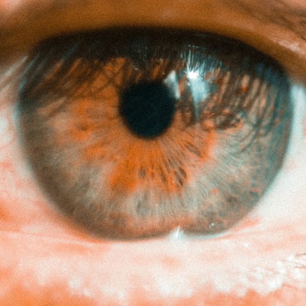 The Role of Genetics in Eye Disease and Strategies for Risk Reduction - 1.jpg