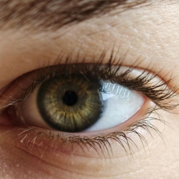 Guidelines for  3.jpg