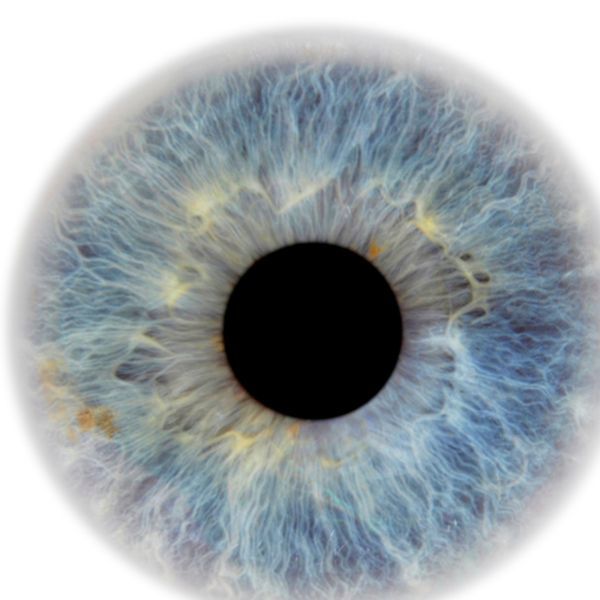 Innovations in Eye Care Advancements in Disease Management 2.jpg