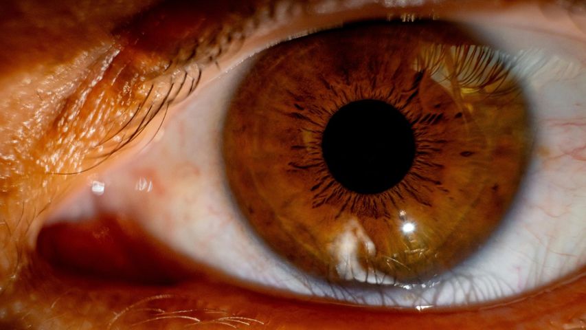 Breaking Down Glaucoma Hero.jpg