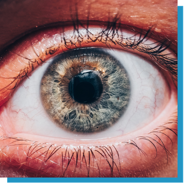 Woodridge Eye Doctor Check Up-2.png