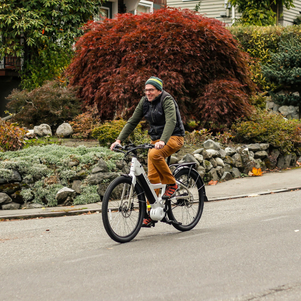 Traditional v eBike 4.png