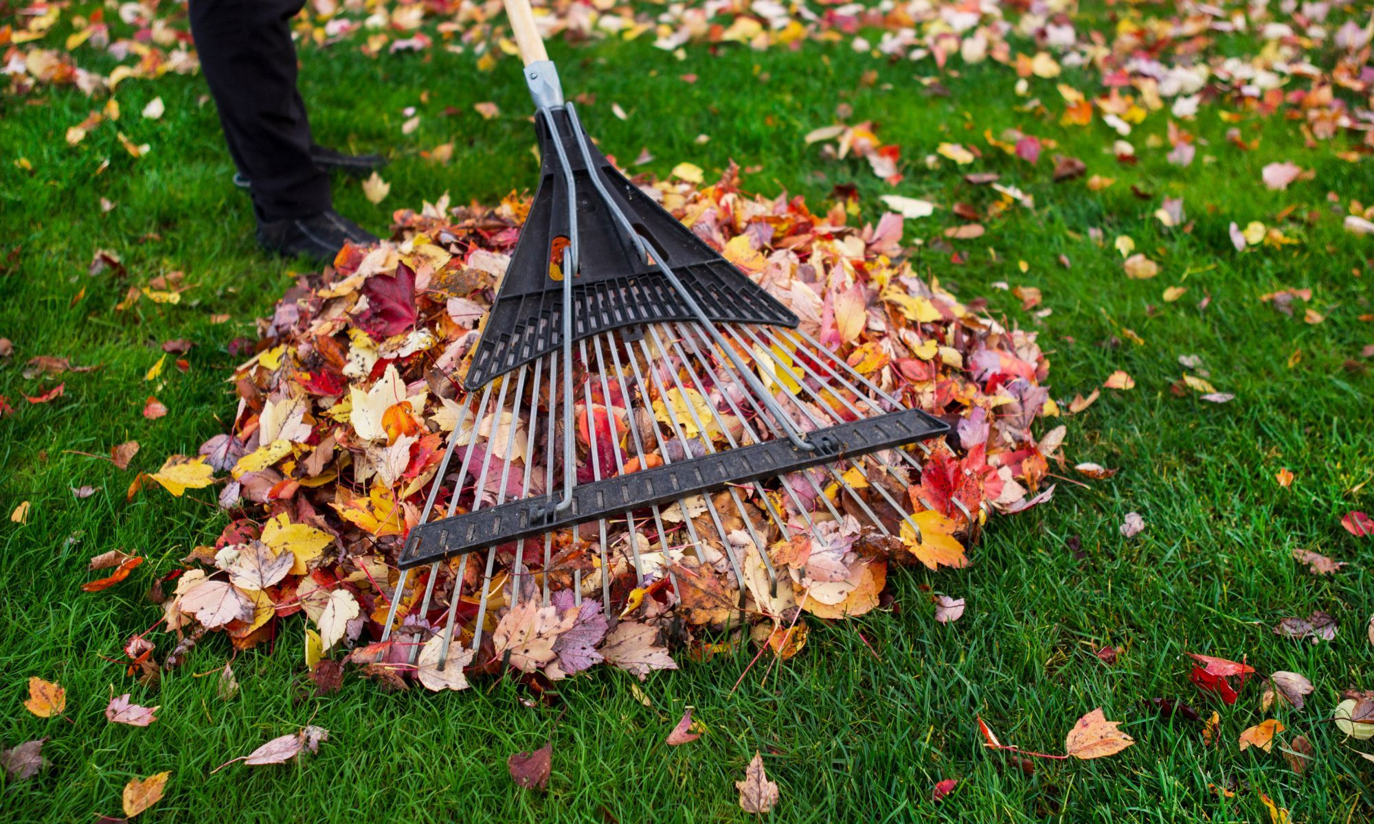 rake with leaves