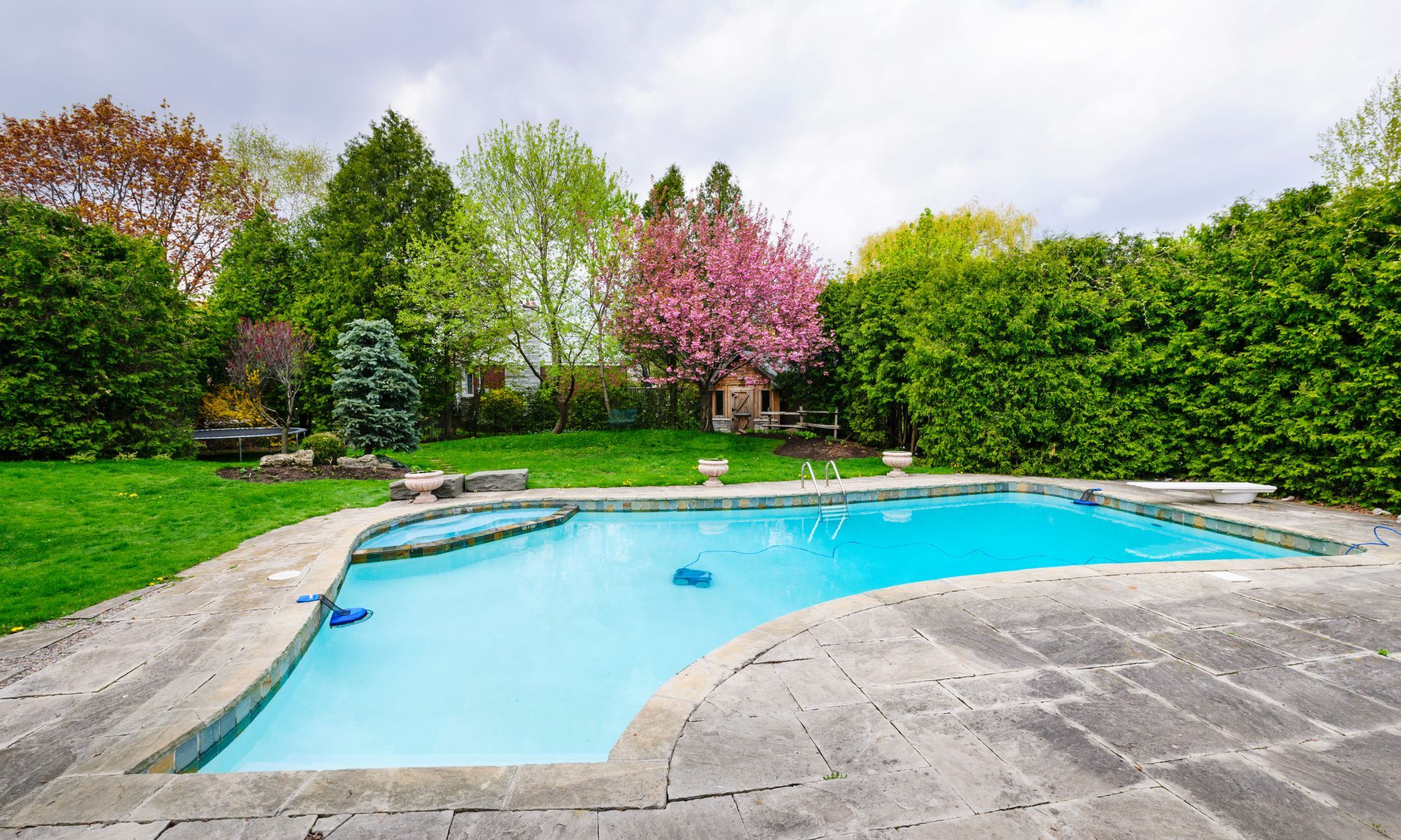 landscaped backyard with pool