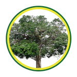 tree trimming icon 1.png