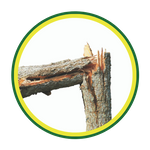 tree trimming icon 4.png