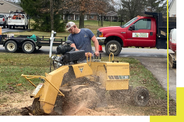 tree and stump removal