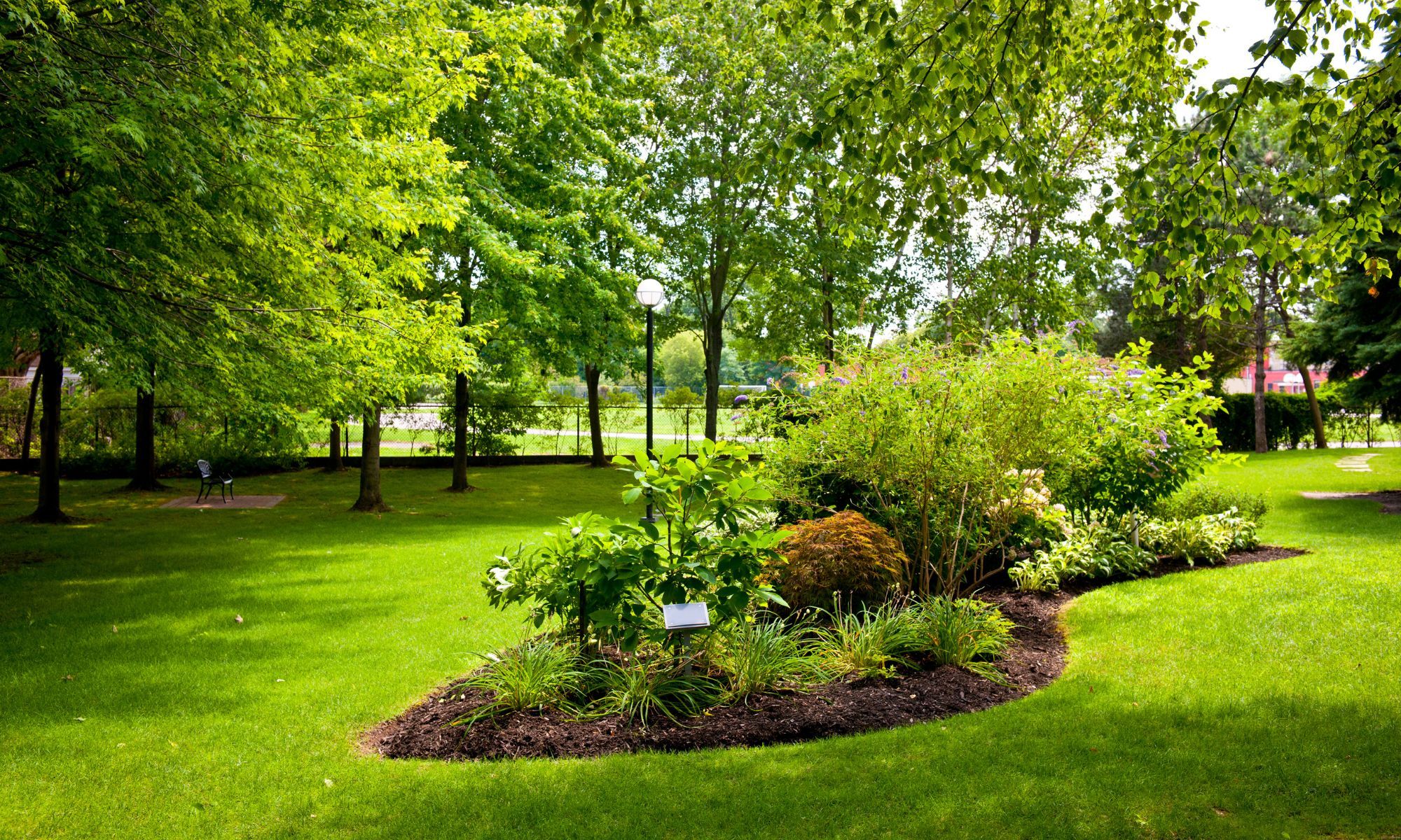 landscaped backyard 