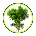 tree trimming icon 3.png