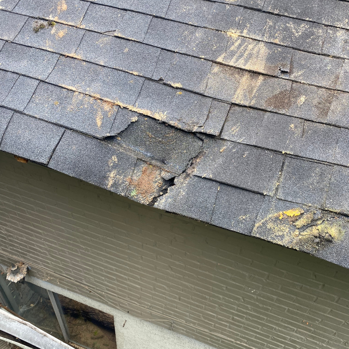 damaged shingles from tree branch