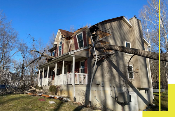 damaged home due to fallen tree