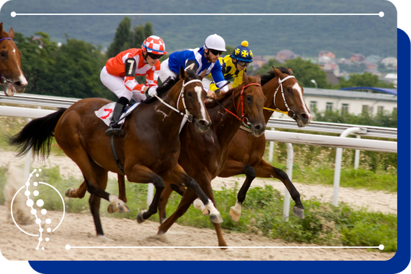 jockeys riding a horses in a race