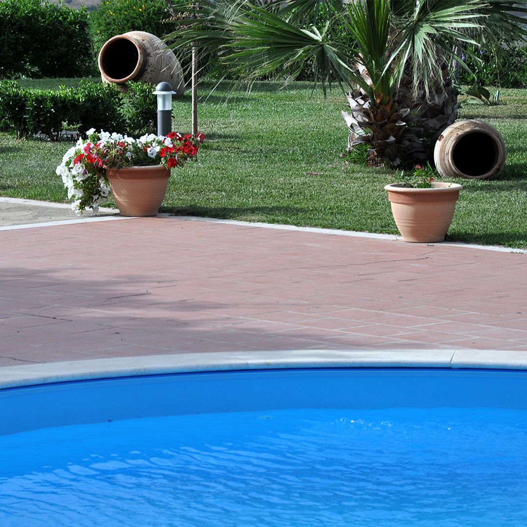 pool next to palm trees