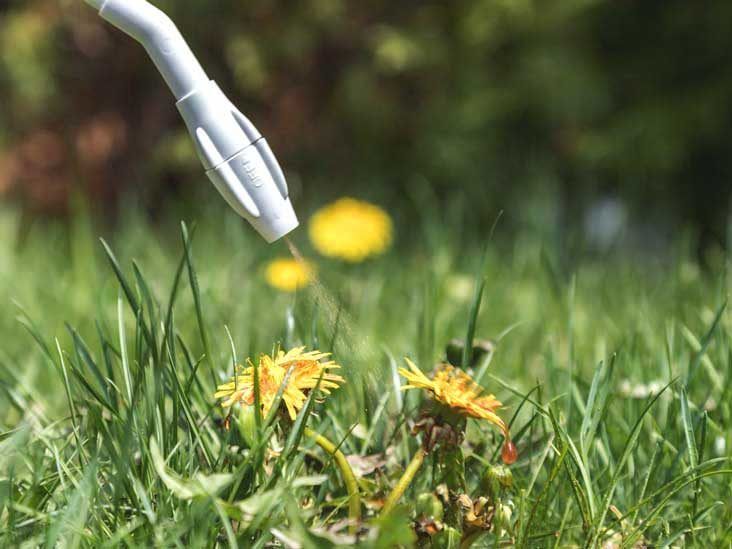 weeds being sprayed