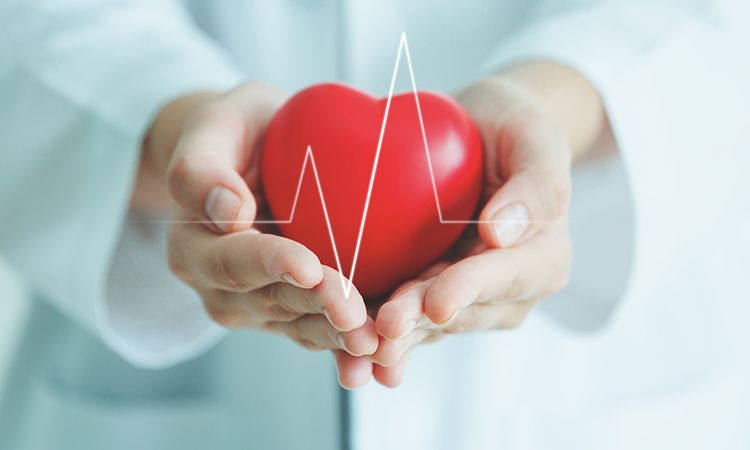 a red heart shaped item with a heart rate line over it