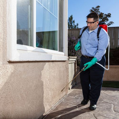 a pest control worker spraying the outside of a house