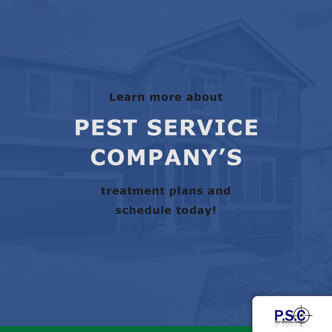 orkin pest control gaithersburg md phone number 301 orkin pest control gaithersburg md phone number 301