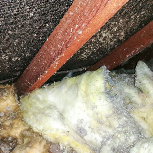 insulation mold